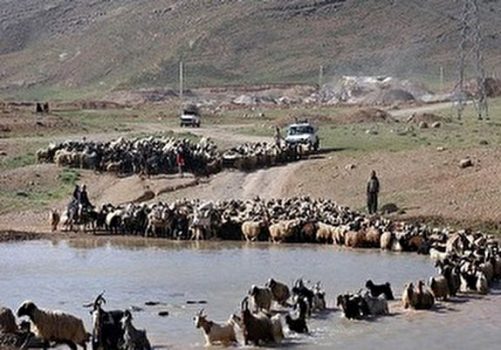 خسارت ۶۵ میلیارد تومانی سیل به بخش عشایری خوزستان خسارت ۶۵ میلیارد تومانی سیل به بخش عشایری خوزستان