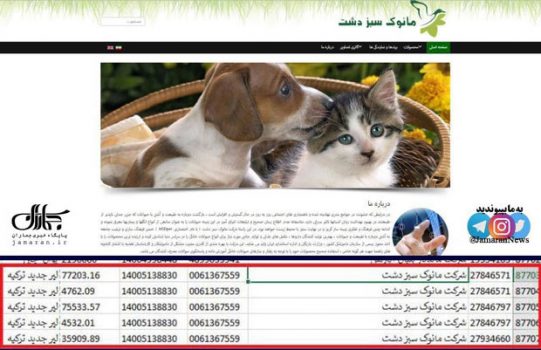 اختصاص ارز دولتی برای واردات غذای سگ و گربه اختصاص ارز دولتی برای واردات غذای سگ و گربه