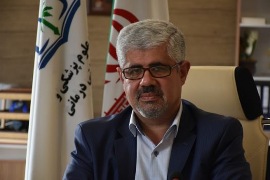 افزایش سگهای ولگرد تهدیدی جدی برای سلامت عمومی است افزایش سگهای ولگرد تهدیدی جدی برای سلامت عمومی است