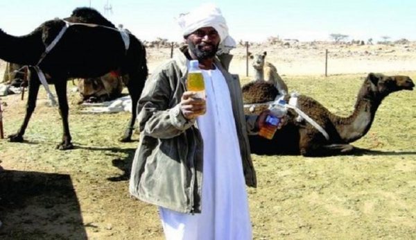 فروش ادرار شتر به مسافران عراقی فروش ادرار شتر به مسافران عراقی