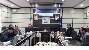 برگزاری کارگروه استانی طرح ملی کنترل بیماری بروسلوز در خوزستان