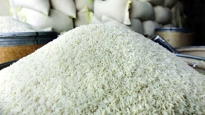 محتکر برنج بیش از ۵ میلیارد ریال محکوم گردید