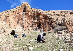 ثبت ۷۰ غار و پناهگاه صخره‎ای از دوران پارینه‎سنگی در بررسی‎های باستان‎شناسی ایذه