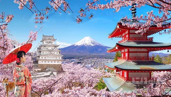 کیوتو ؛ زیباترین شهر جهان به انتخاب گردشگران