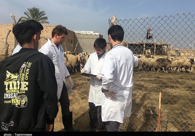 هشدار دامپزشکی خوزستان در مورد تب کریمه کنگو