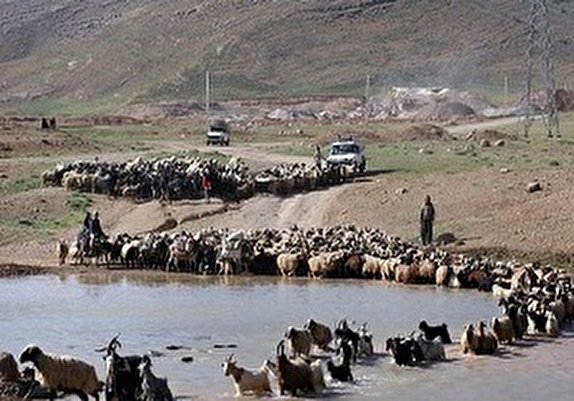 خسارت ۶۵ میلیارد تومانی سیل به بخش‌ عشایری خوزستان