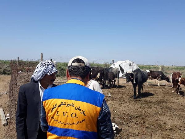 خدمت رسانی دامپزشکی خوزستان به مناطق سیل زده ادامه دارد