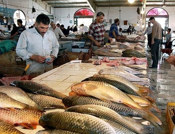 بازار ماهی فروشان خرمشهر ساماندهی می شود