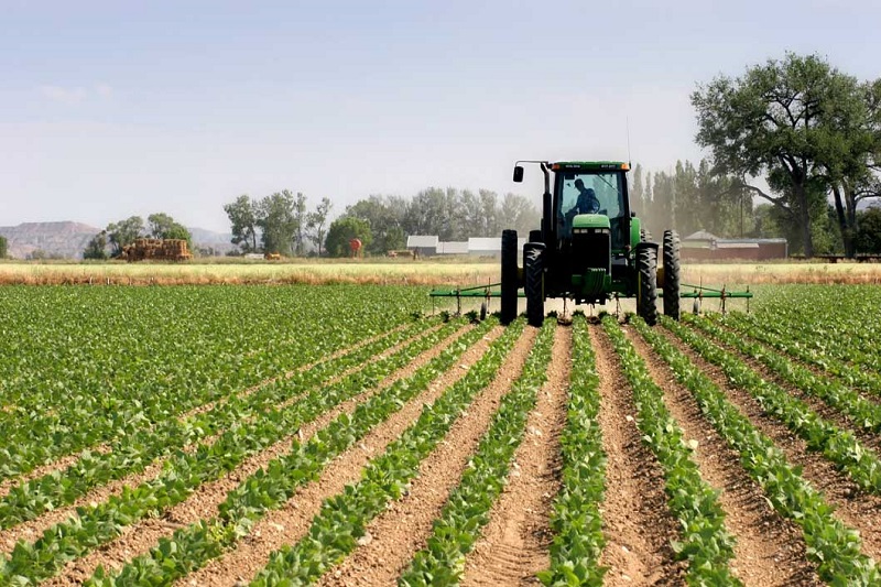 کشت محصولات کشاورزی در  ۲۵۵هزار هکتار از زمین‌  طرح رهبری در خوزستان‌