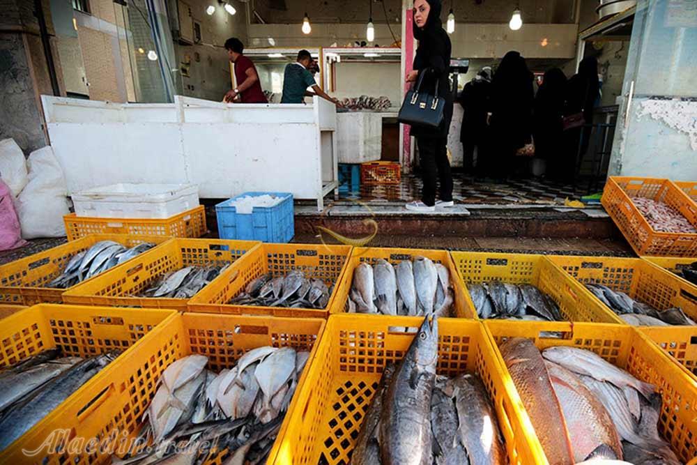 لزوم راه‌اندازی بازار حراج ماهی در خوزستان