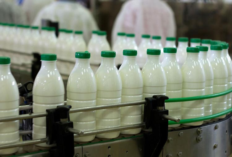 کاهش خرید و مصرف شیر به خاطر شایعه وجود «سم آفلاتوکسین»