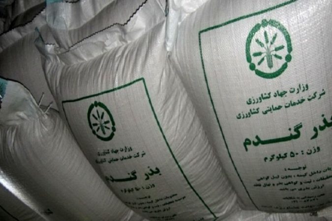ادامه توزیع بذر گندم دولتی برای کشت پاییزه خوزستان
