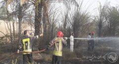 مهار حریق گسترده نخلستان و نیزارهای روستای مگطوع با تلاش آتش نشانان اهوازی