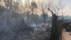 آتش، جنگل‌های احمدفداله دزفول را فرا گرفت