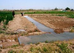 باید برای تامین آب مورد نیاز  کشاورزان شهر‌های شمالی خوزستان تدابیر لازم دیده شود