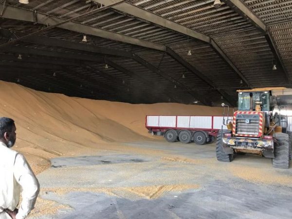 ذرت و برنج‌های وارداتی غیر استاندارد در بندرامام خمینی معدوم می‌شوند