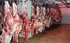 مردم توانایی تهیه گوشت با قیمت ۲۸۰ هزار تومان را ندارند