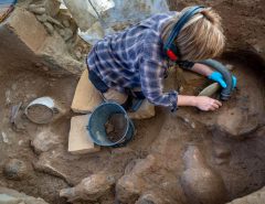کشف گورستان باستانی با آثار شگفت‌انگیز در فرانسه