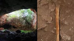 کشفی عجیب در بررسی غارهای انسان‌های اولیه