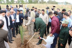 کاشت پنج میلیون نهال در خوزستان آغاز شد
