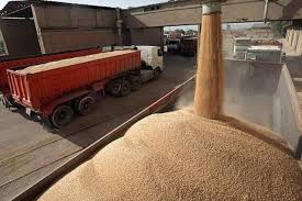 خرید بیش از یک‌میلیون و ۴۰۰ هزار تن گندم در خوزستان