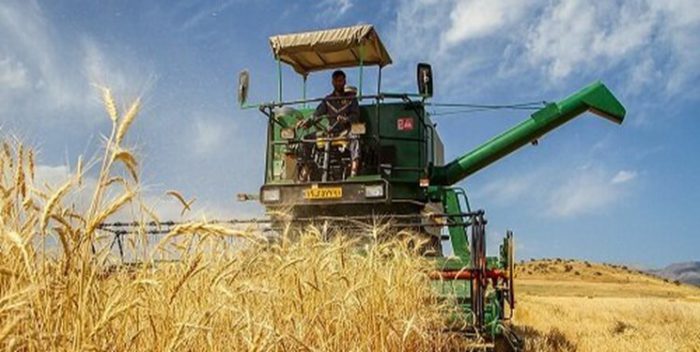 خوزستان رکورد دار تولید گندم و چغندر در دولت سیزدهم